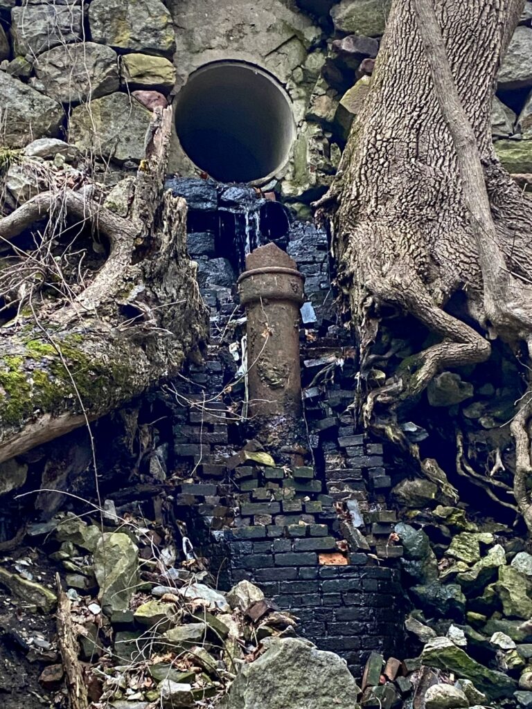 8 mejores empresas de arreglo de bajantes en Bizkaia en 2026